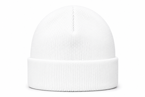 FREE TATE Embroidered Cuffed Beanie — White